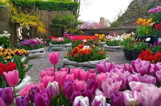 GIARDINO BOTANICO