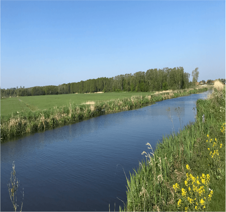 fiume