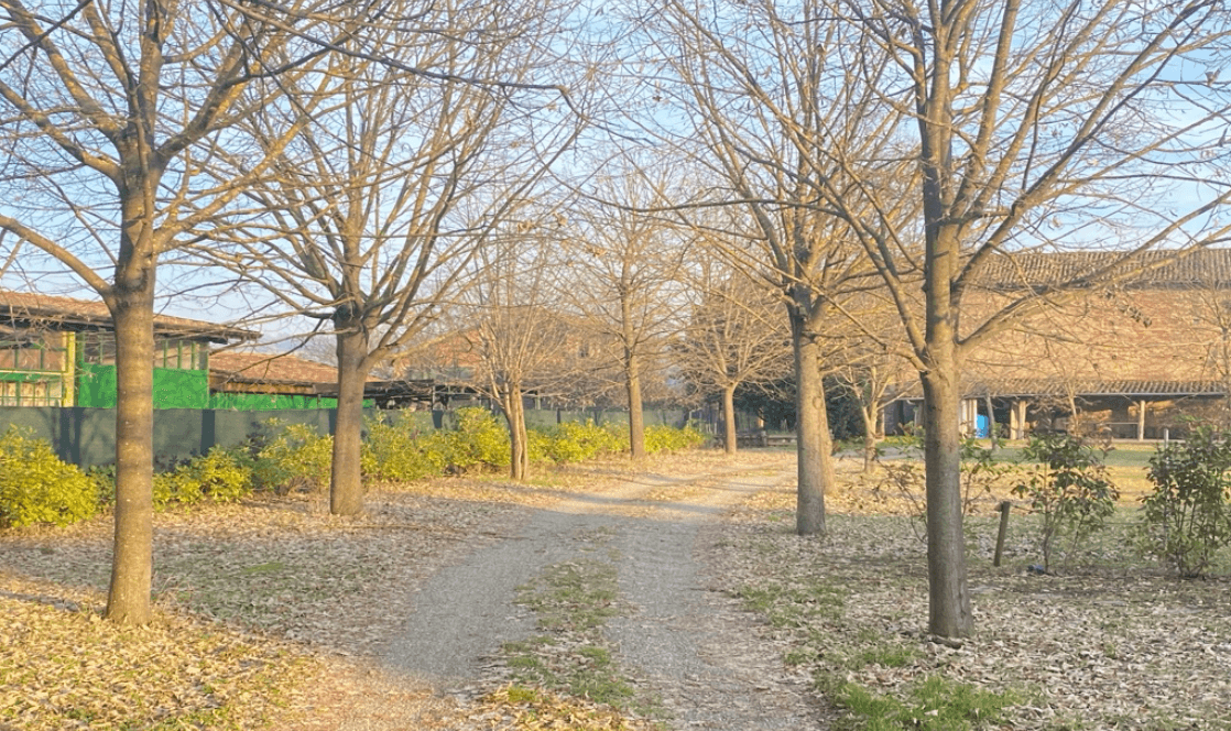 strada