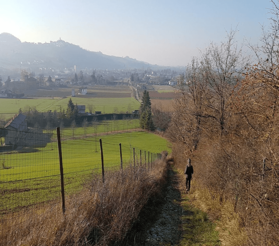 panorama