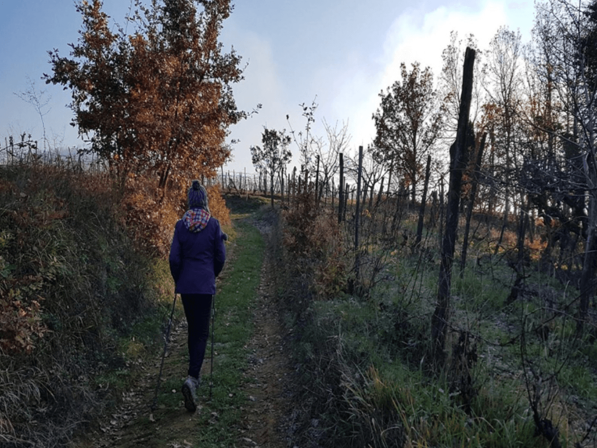 trekking